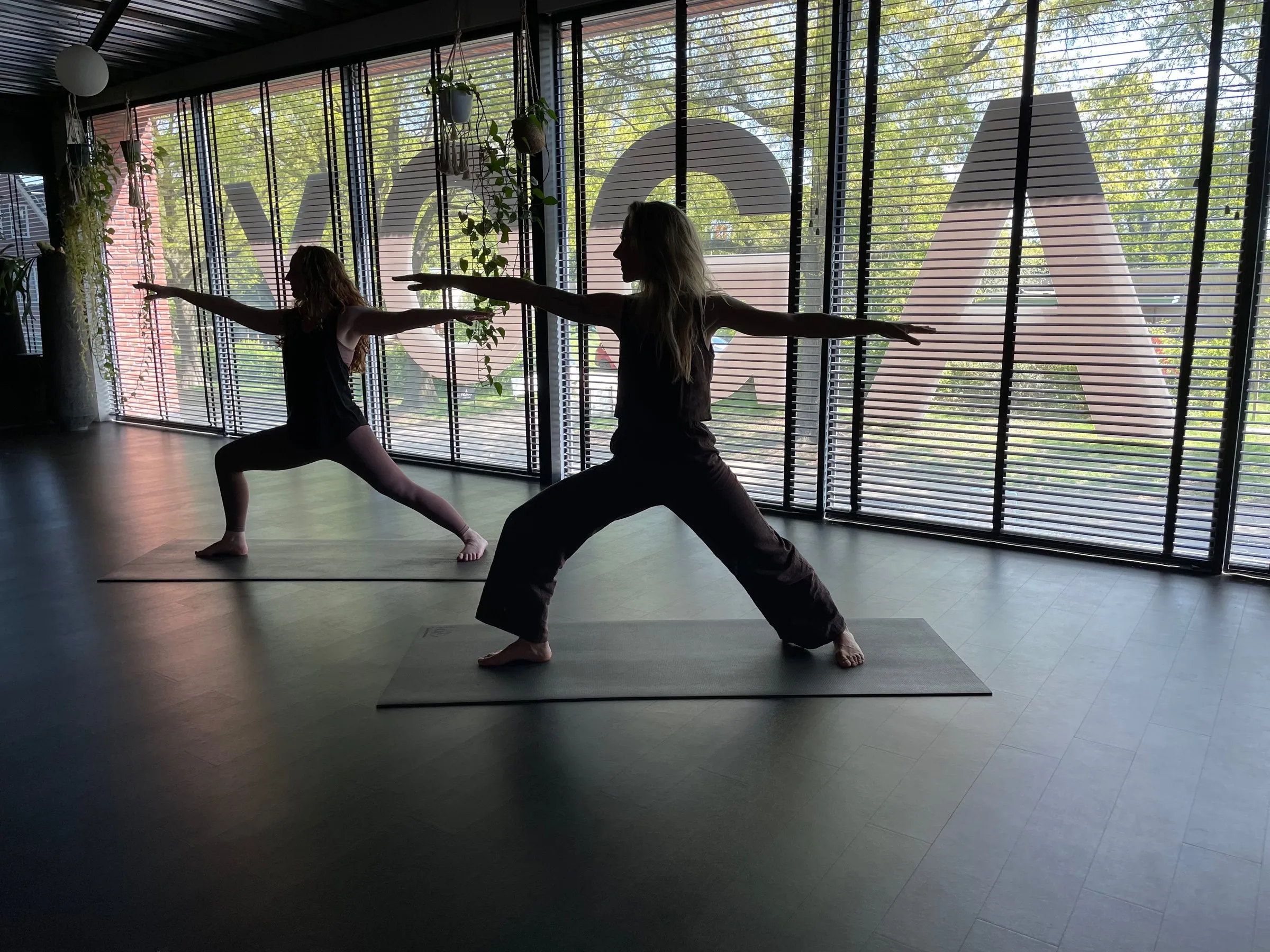 Twee yogi’s in de krijgerhouding voor het raam van de zaal